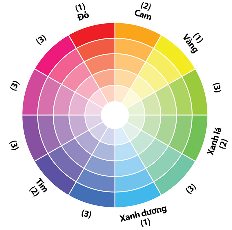 Nguyên tắc bánh xe màu sắc gồm 12 màu chính với cường độ đậm nhạt khác nhau 