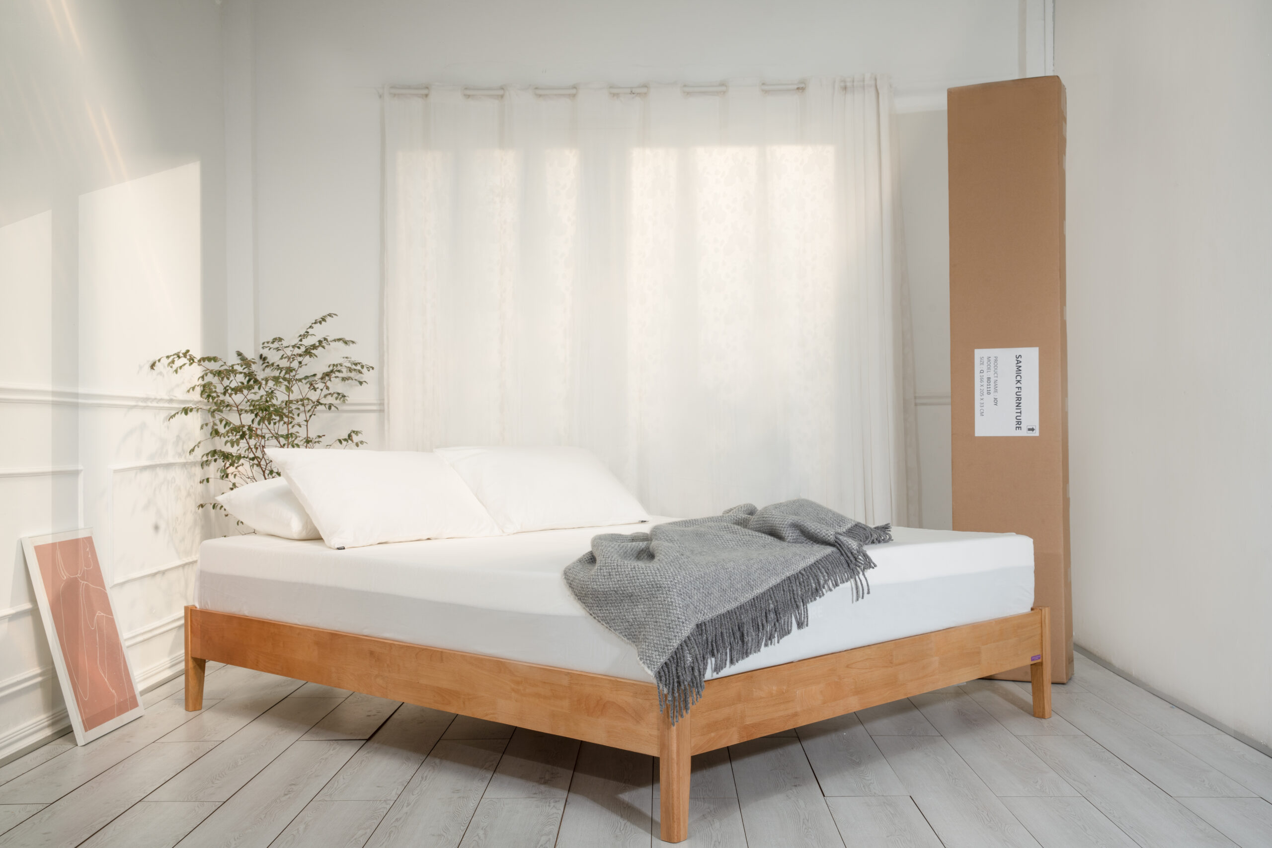 nệm foam cosy